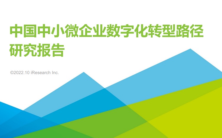 2022年中国中小微企业数字化转型路径研究报告